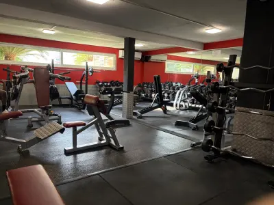 Espace haltères libres avec racks et miroir mural